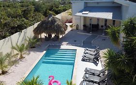Villa Palmera